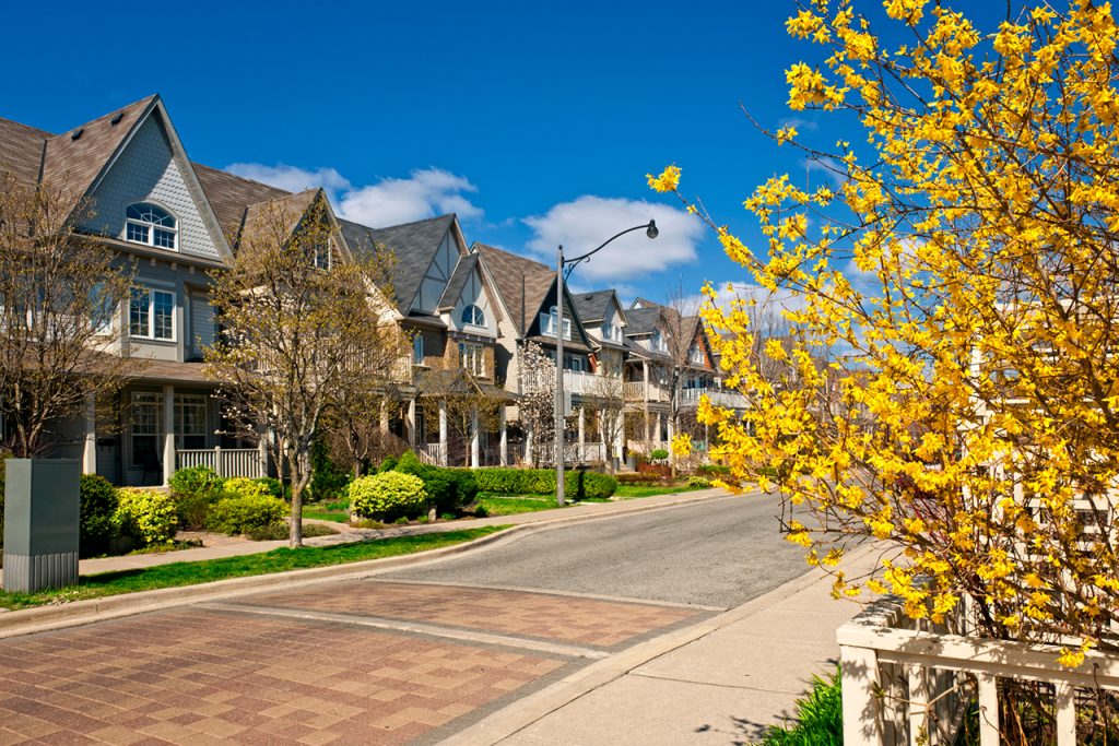 a beautiful street in chapel hill