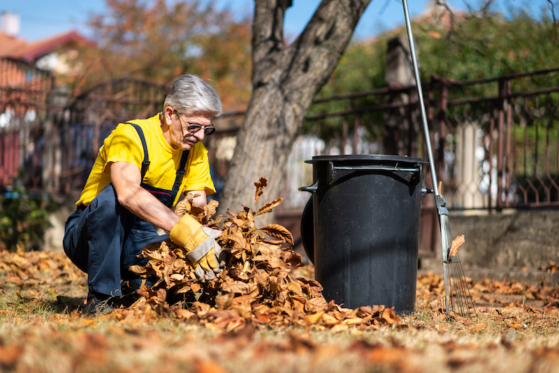 Senior man manually collecting fallen autumn leaves in the yard